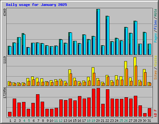Daily usage for January 2025