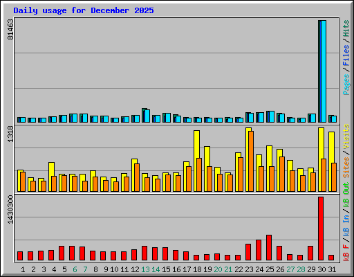 Daily usage for December 2025