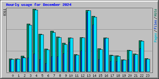 Hourly usage for December 2024