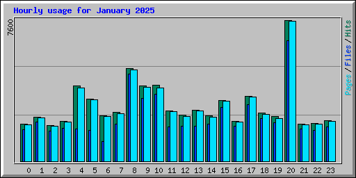 Hourly usage for January 2025