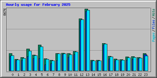 Hourly usage for February 2025