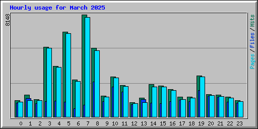 Hourly usage for March 2025