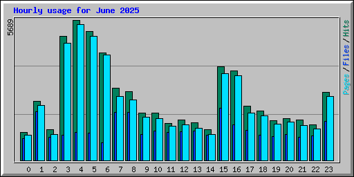 Hourly usage for June 2025