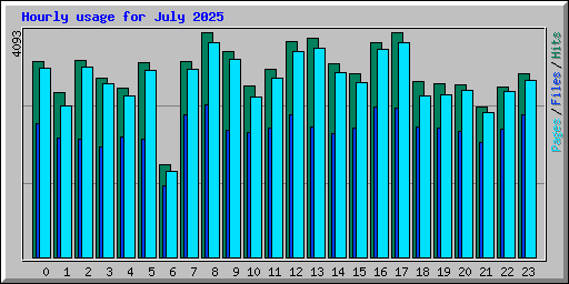 Hourly usage for July 2025