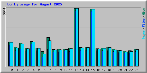 Hourly usage for August 2025