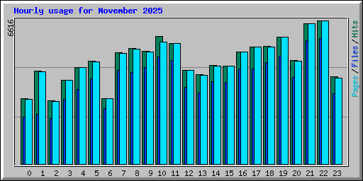 Hourly usage for November 2025