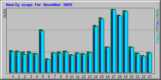 Hourly usage for December 2025