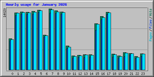 Hourly usage for January 2026