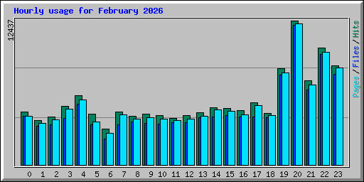 Hourly usage for February 2026