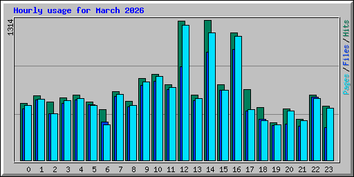 Hourly usage for March 2026